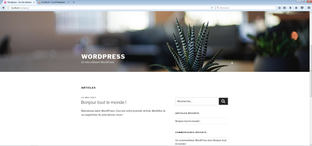 Un site internet WordPress créé sous WAMP